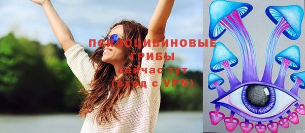 трава Белокуриха