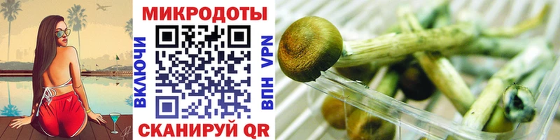 Галлюциногенные грибы MAGIC MUSHROOMS  Купить закладки  Армянск 